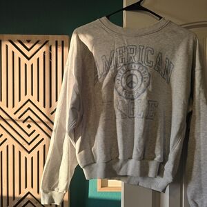 American Eagle Outfitters Light Gray Logo Crew Neck Sweater